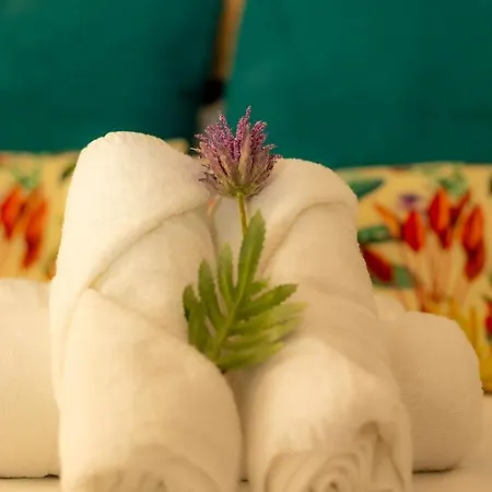 Ventura Premium بيت ضيافة 3*