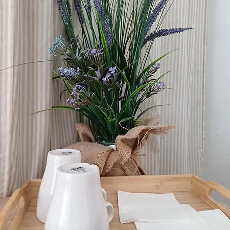 Ventura Premium 3* لقنت